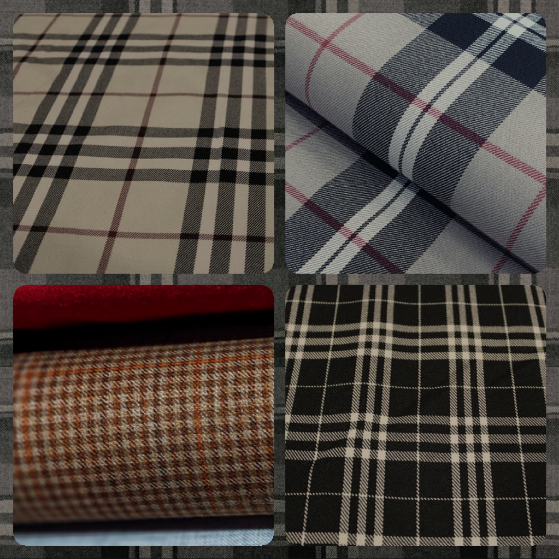 Chequered Original Quality Italian Extrafine Super 220S (Multi Coloured)